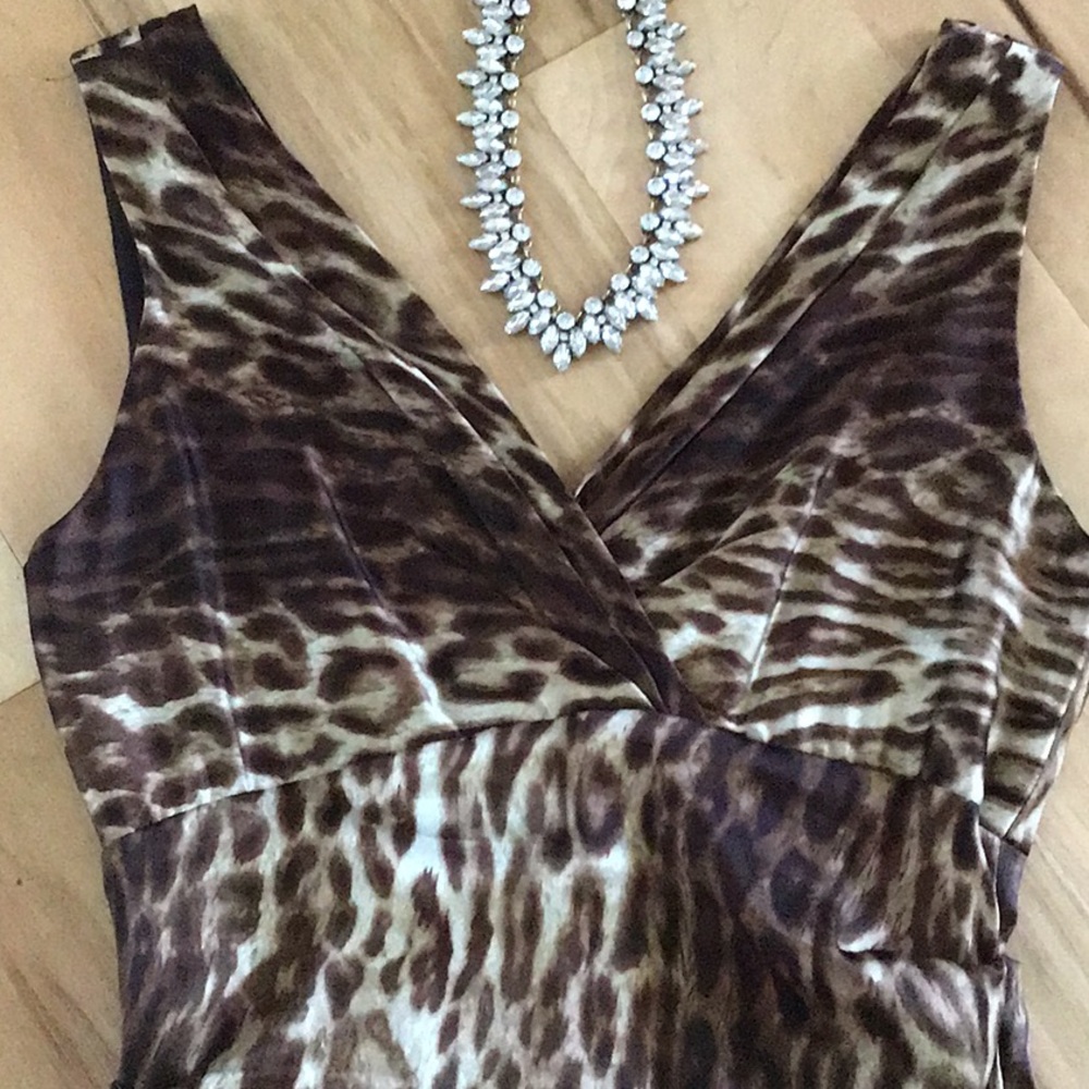 Leopard Print Cach’e Dress Size 4